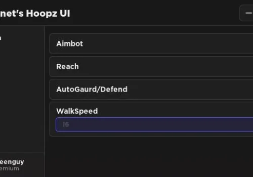 Hoopz_-_magnetwashere