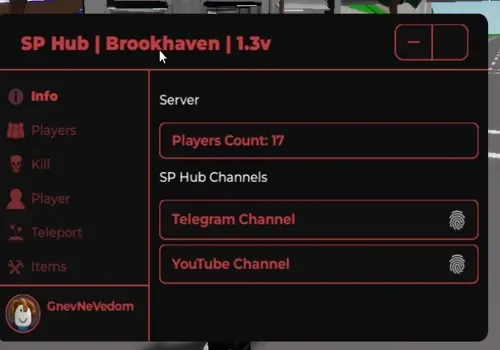 brookhaven rp -sp hub