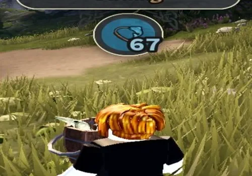 how to train your dragon - max level