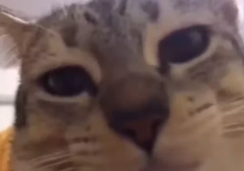 photo_2022-05-26_17-55-50