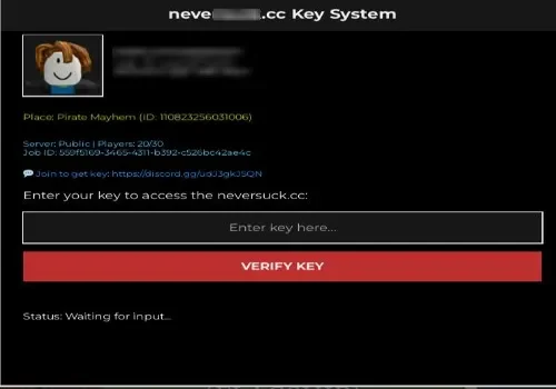 pirate mayhem - neversuk