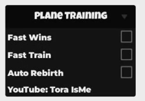 plane training - tora is me