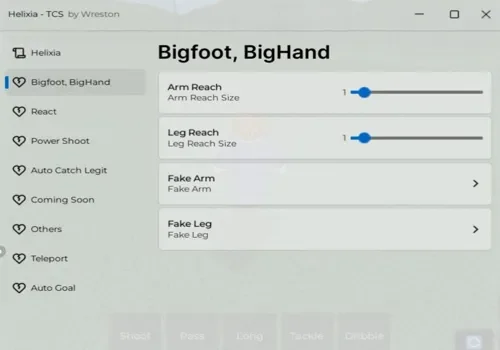 the classic soccer - wreston