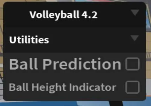 volleyball 4.2